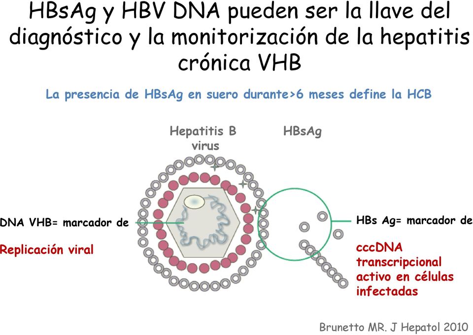 HCB Hepatitis B virus HBsAg DNA VHB= marcador de Replicación viral HBs Ag=