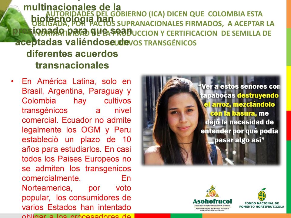 Latina, solo en Brasil, Argentina, Paraguay y Colombia hay cultivos transgénicos a nivel comercial.