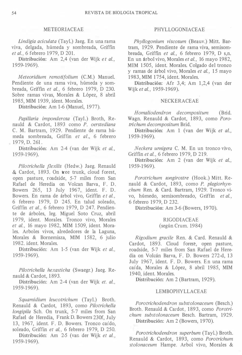 Papillaria imponderosa - (Tayl.) Broth, Renauld & Cardot, 1893 como P. oerstediana C. M. Bartram, 1929. Pendiente de rama húmeda sombreada, Griffin et al., 6 febrero 1979, D. 261.