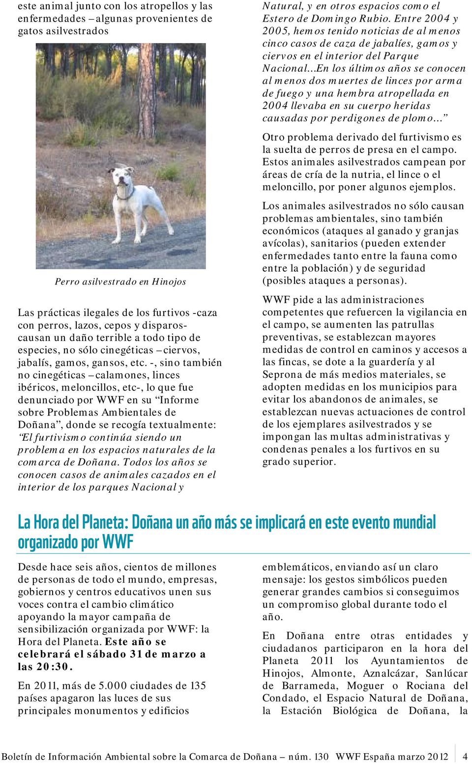 -, sino también no cinegéticas calamones, linces ibéricos, meloncillos, etc-, lo que fue denunciado por WWF en su Informe sobre Problemas Ambientales de Doñana, donde se recogía textualmente: El