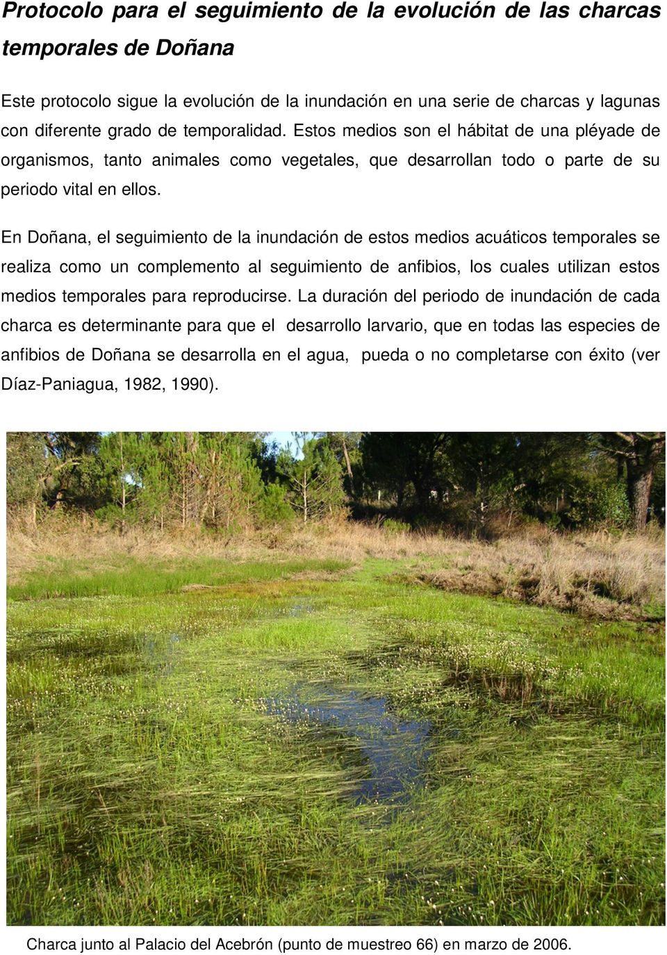 En Doñana, el seguimiento de la inundación de estos medios acuáticos temporales se realiza como un complemento al seguimiento de anfibios, los cuales utilizan estos medios temporales para