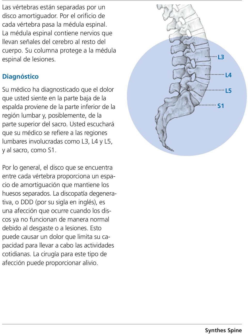 L3 Diagnóstico Su médico ha diagnosticado que el dolor que usted siente en la parte baja de la espalda proviene de la parte inferior de la región lumbar y, posiblemente, de la parte superior del