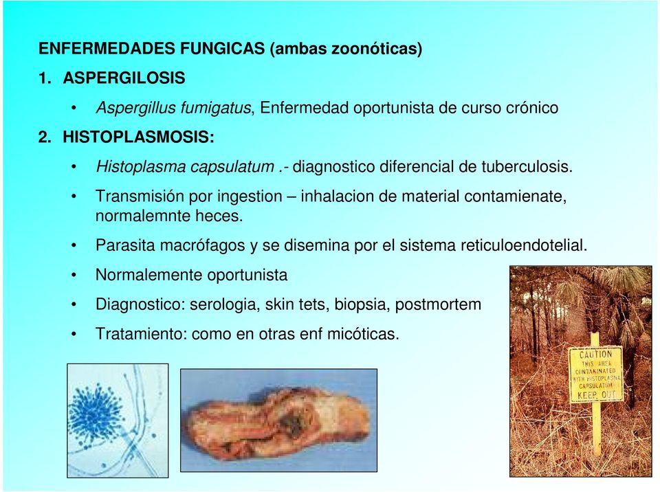 - diagnostico diferencial de tuberculosis.