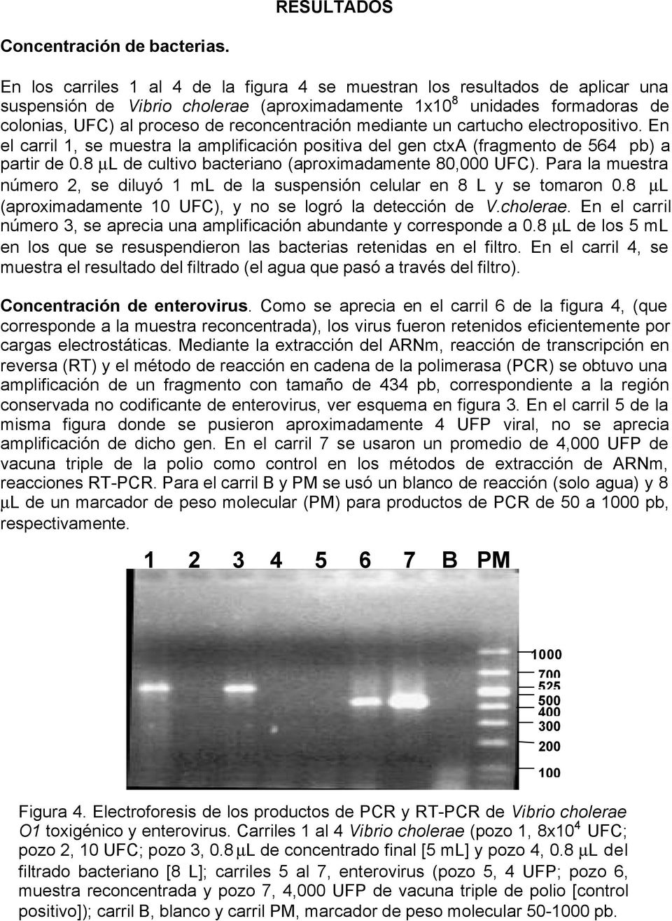 reconcentración mediante un cartucho electropositivo. En el carril 1, se muestra la amplificación positiva del gen ctxa (fragmento de 564 pb) a partir de 0.