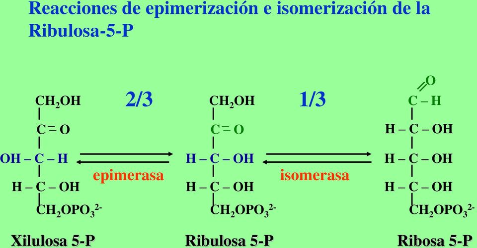 C H H C OH epimerasa H C OH H C OH isomerasa H C OH H C OH CH