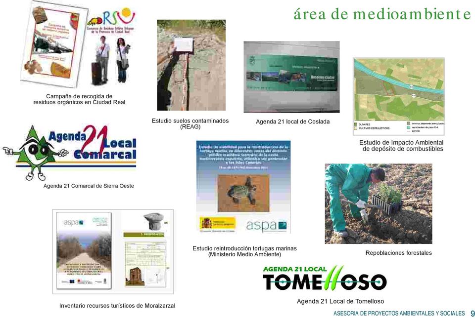 combustibles Agenda 21 Comarcal de Sierra Oeste Estudio reintroducción tortugas marinas (Ministerio