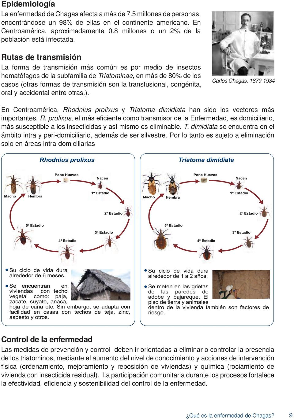Rutas de transmisión La forma de transmisión más común es por medio de insectos hematófagos de la subfamilia de Triatominae, en más de 80% de los casos (otras formas de transmisión son la