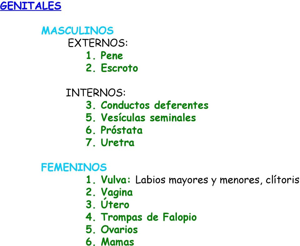Vesículas seminales 6. Próstata 7. Uretra FEMENINOS 1.