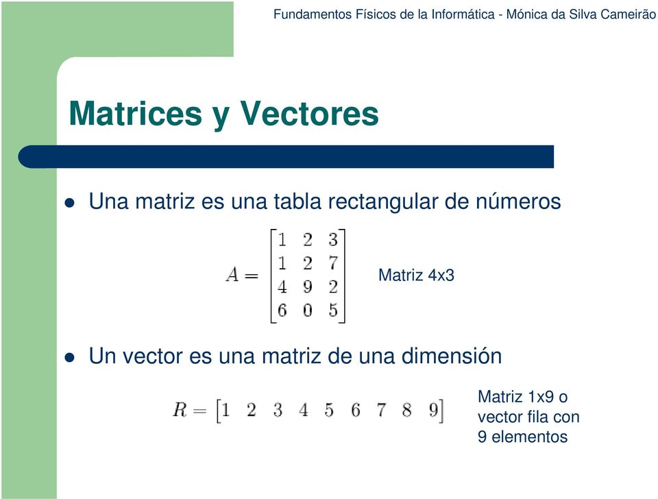 Un vector es una matriz de una