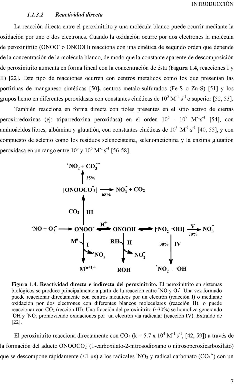 que la constante aparente de descomposición de peroxinitrito aumenta en forma lineal con la concentración de ésta (Figura 1.4, reacciones I y II) [22].