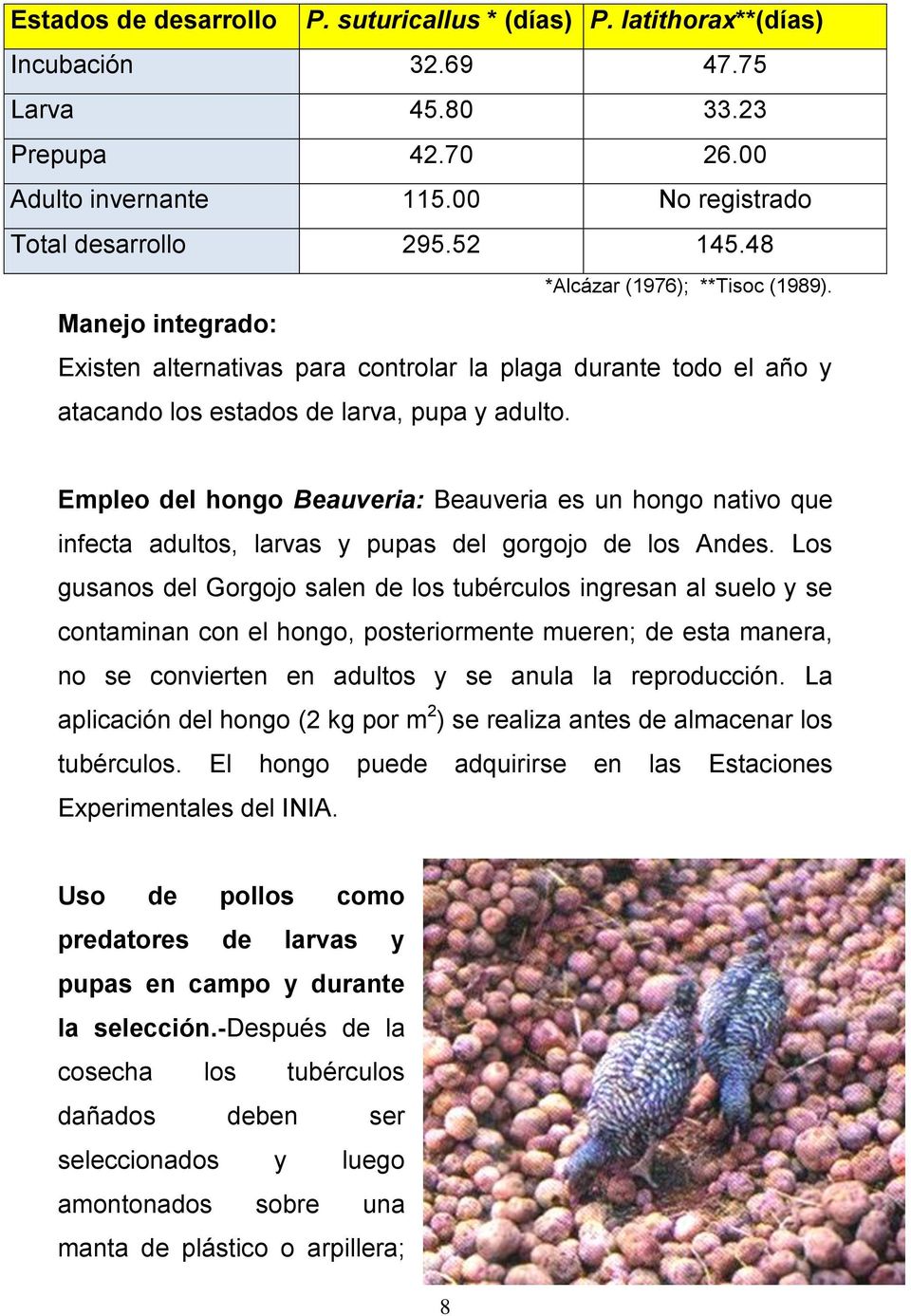 Empleo del hongo Beauveria: Beauveria es un hongo nativo que infecta adultos, larvas y pupas del gorgojo de los Andes.