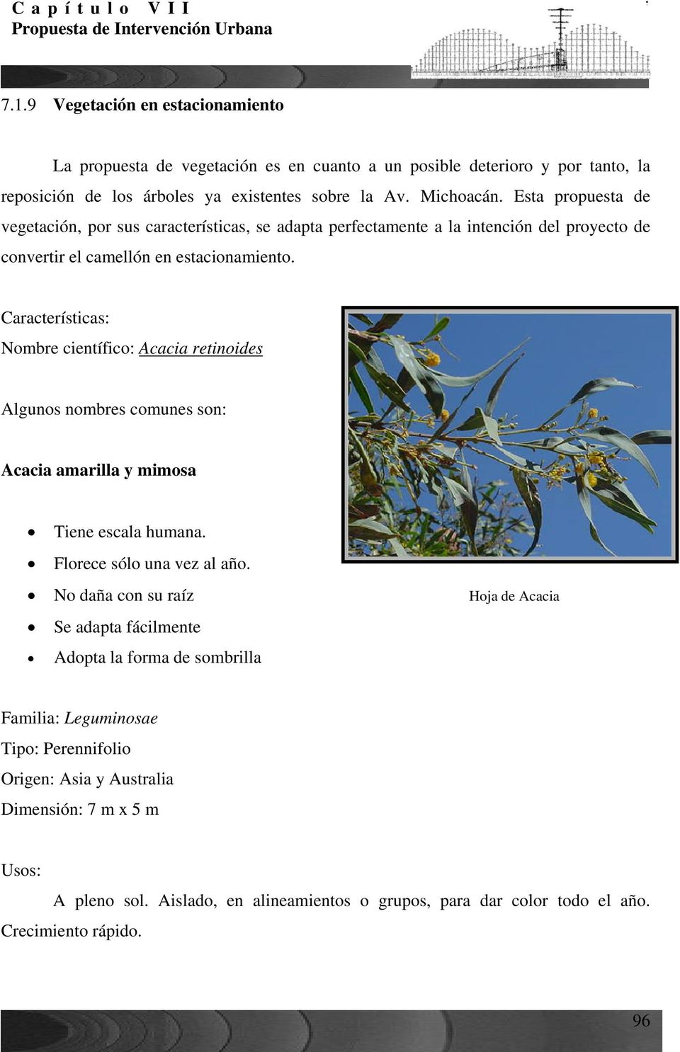 Características: Nombre científico: Acacia retinoides Algunos nombres comunes son: Acacia amarilla y mimosa Tiene escala humana. Florece sólo una vez al año.