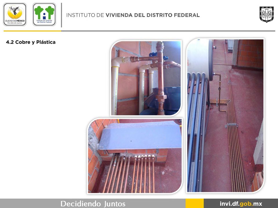 Federal INSTITUTO DE VIVIENDA DEL