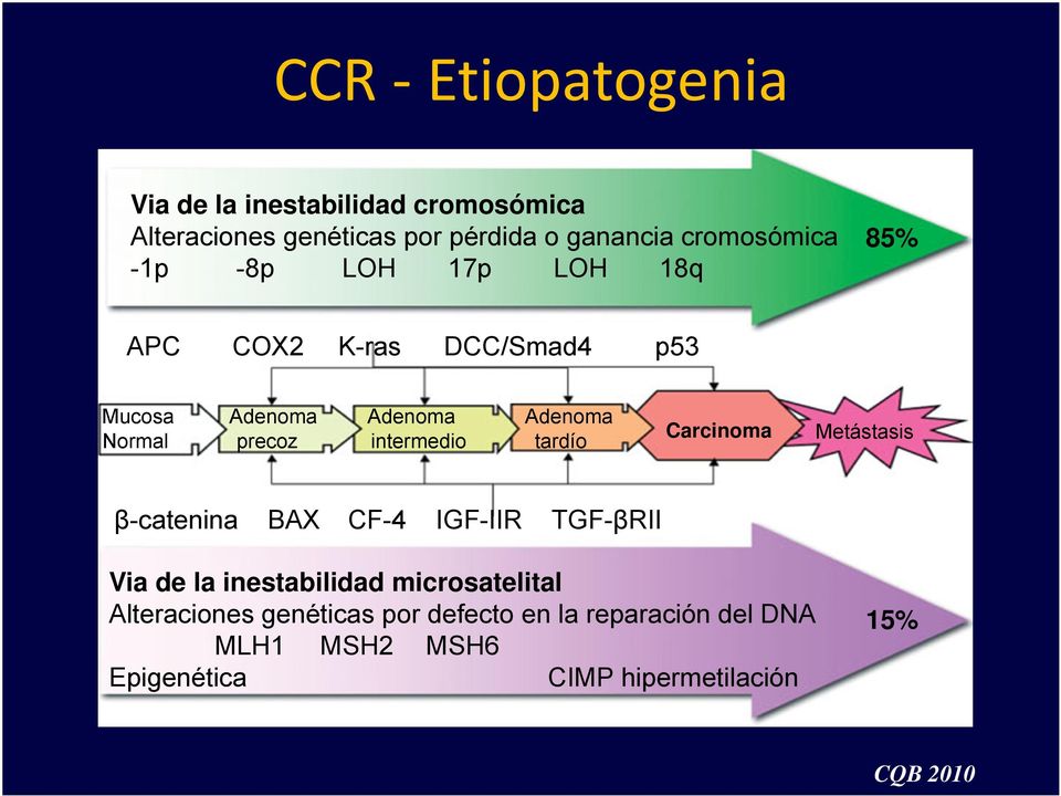 precoz intermedio tardío Carcinoma Metástasis β-catenina BAX CF-4 IGF-IIR TGF-βRII Via de la inestabilidad