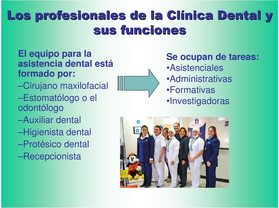 dental Higienista dental Protésico dental Recepcionista Se