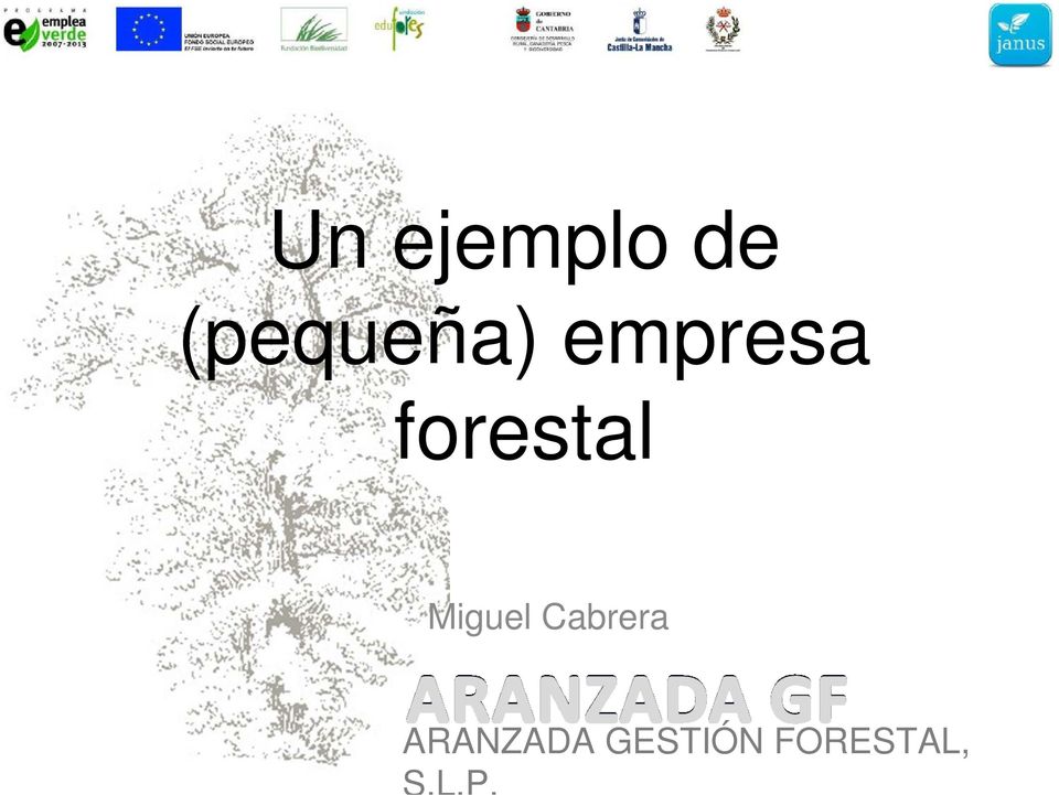 forestal Miguel