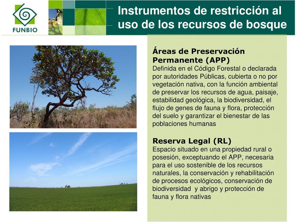 protección del suelo y garantizar el bienestar de las poblaciones humanas Reserva Legal (RL) Espacio situado en una propiedad rural o posesión, exceptuando el APP, necesaria