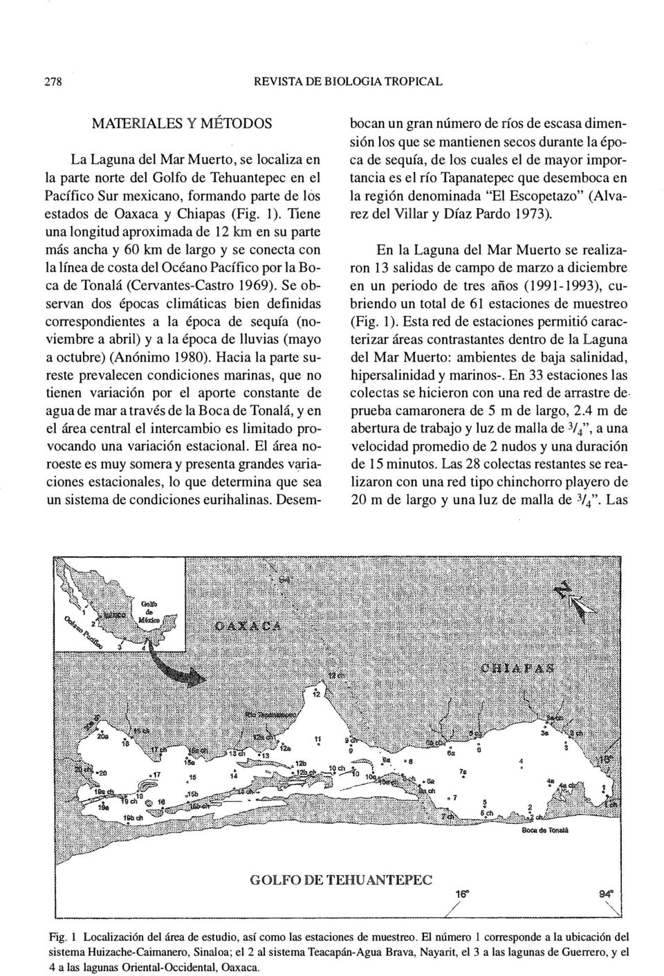 Tiene una longitud aproimada de 12 km en su parte más ancha y 60 km de largo y se conecta con la línea de costa del Océano Pacífico por la Boca de Tonalá (Cervantes-Castro 1969).
