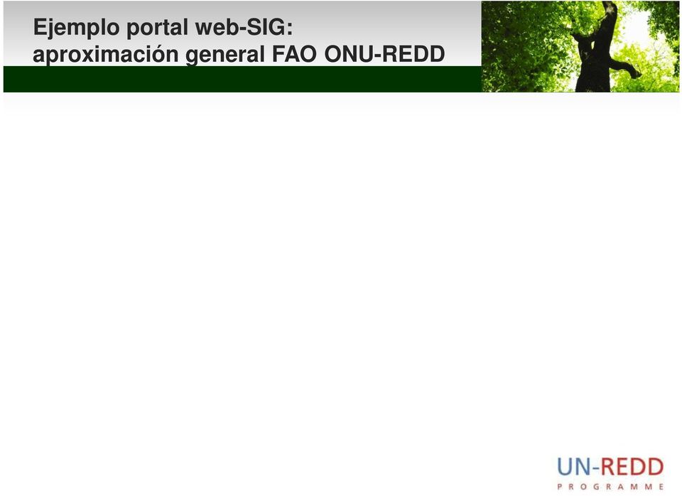 REDD+) Software gratuito y de acceso libre Desarrollado por equipos de programación en FAO