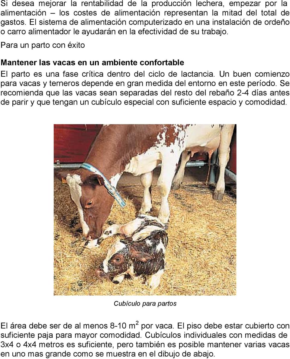 Para un parto con éxito Mantener las vacas en un ambiente confortable El parto es una fase crítica dentro del ciclo de lactancia.