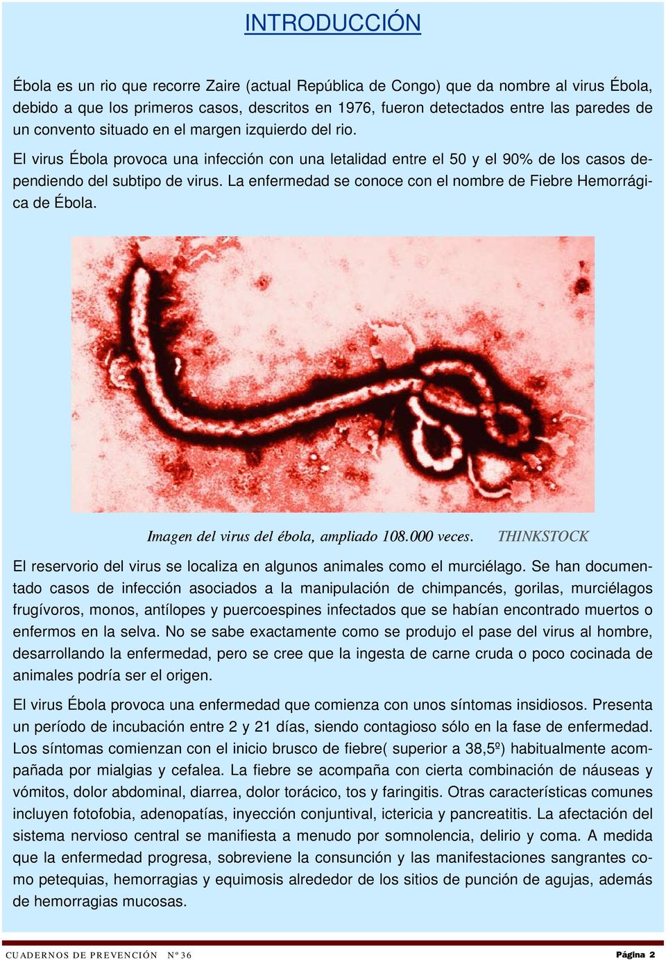 La enfermedad se conoce con el nombre de Fiebre Hemorrágica de Ébola. Imagen del virus del ébola, ampliado 108.000 veces.