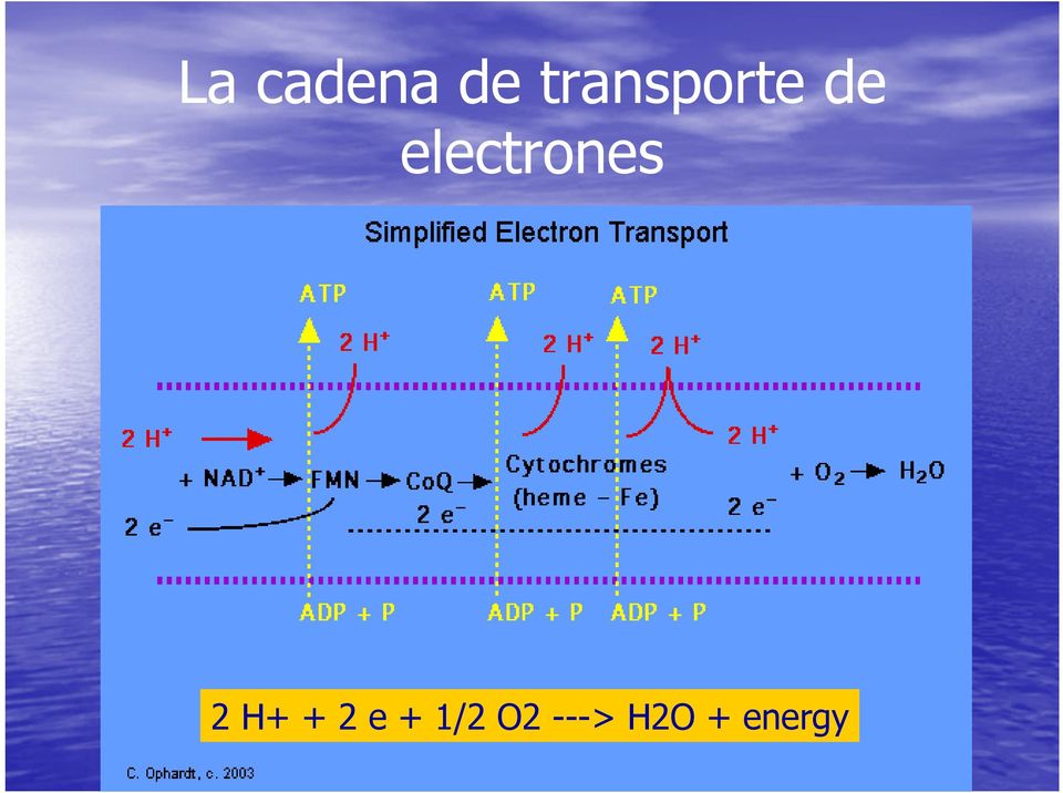 electrones 2 H+ +