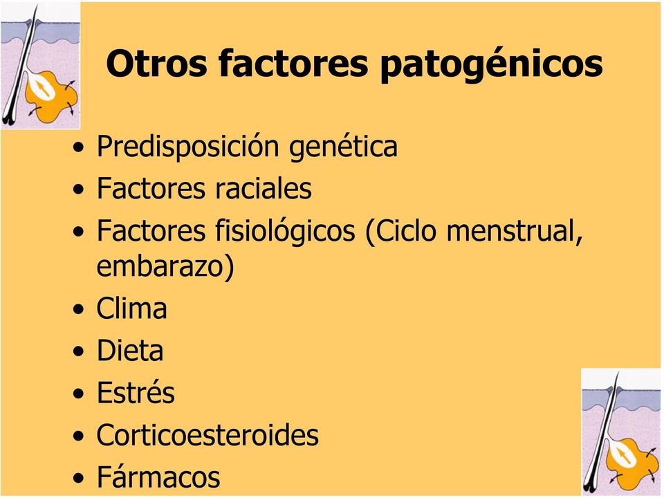 raciales Factores fisiológicos (Ciclo