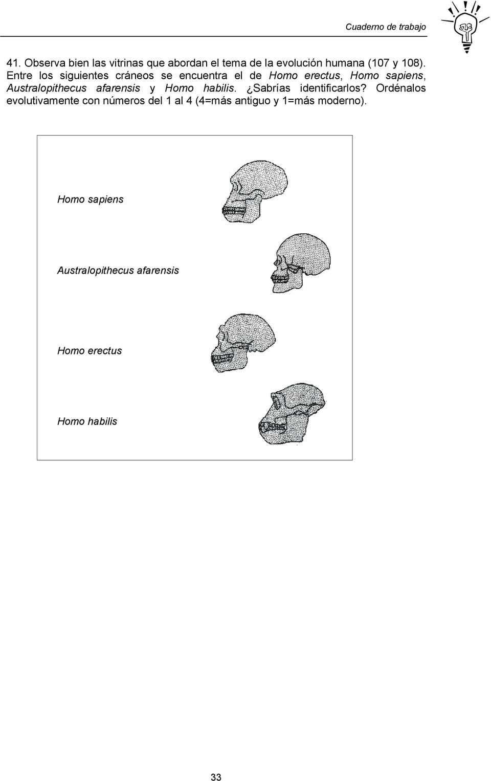 afarensis y Homo habilis. Sabrías identificarlos?