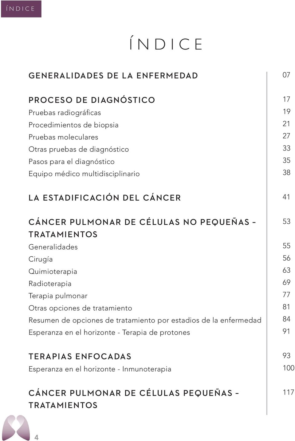 Generalidades Cirugía Quimioterapia Radioterapia Terapia pulmonar Otras opciones de tratamiento Resumen de opciones de tratamiento por estadios de la enfermedad Esperanza