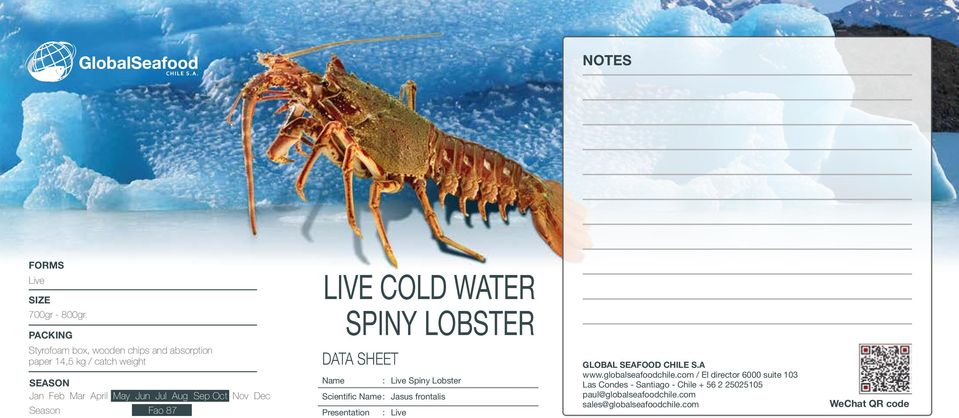 Season Fao 87 LIVE COLD WATER SPINY LOBSTER Name : Live