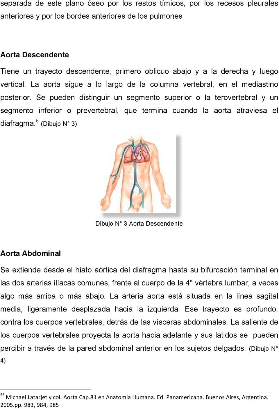 Se pueden distinguir un segmento superior o la terovertebral y un segmento inferior o prevertebral, que termina cuando la aorta atraviesa el diafragma.
