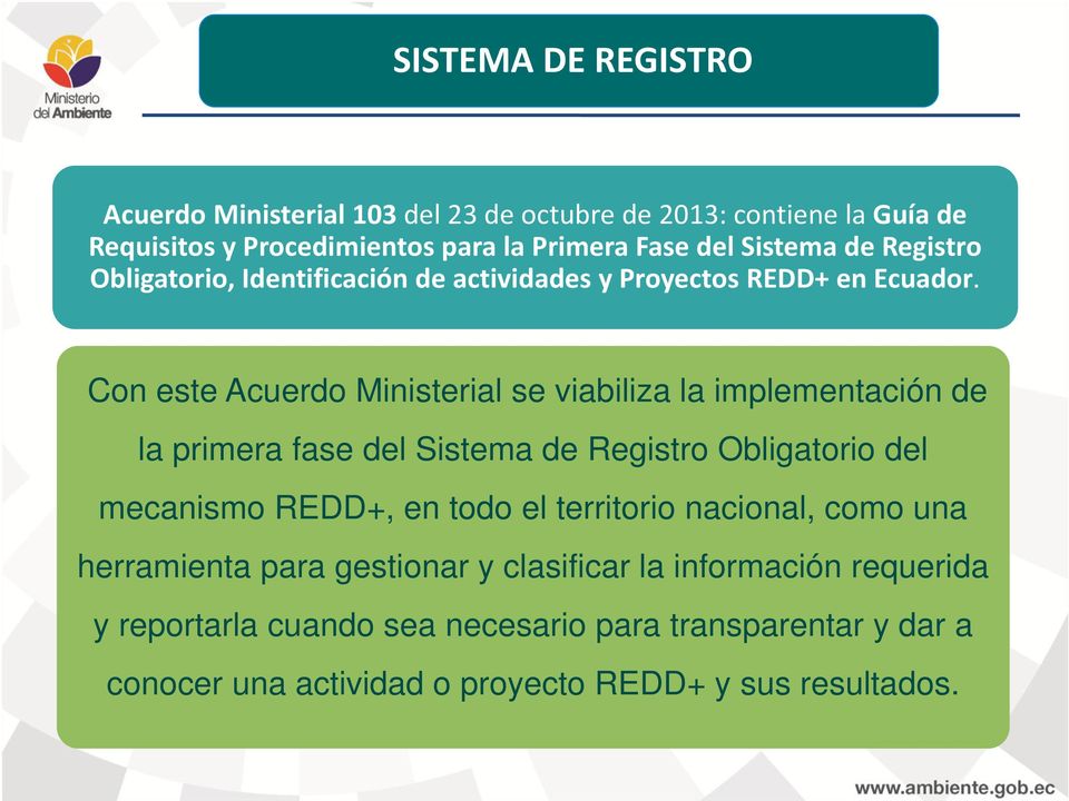 Con este Acuerdo Ministerial se viabiliza la implementación de la primera fase del Sistema de Registro Obligatorio del mecanismo REDD+, en todo el