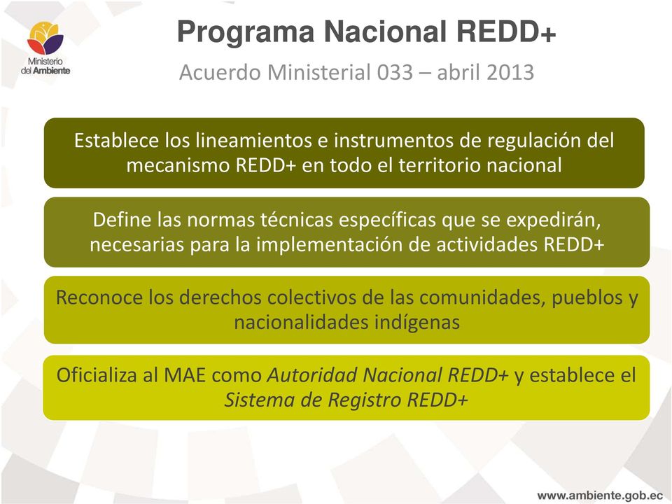 expedirán, necesarias para la implementación de actividades REDD+ Reconoce los derechos colectivos de las