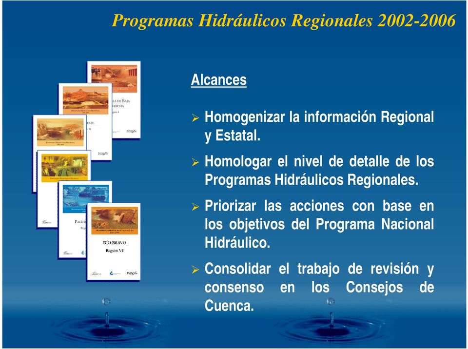 Homologar el nivel de detalle de los Programas Hidráulicos Regionales.
