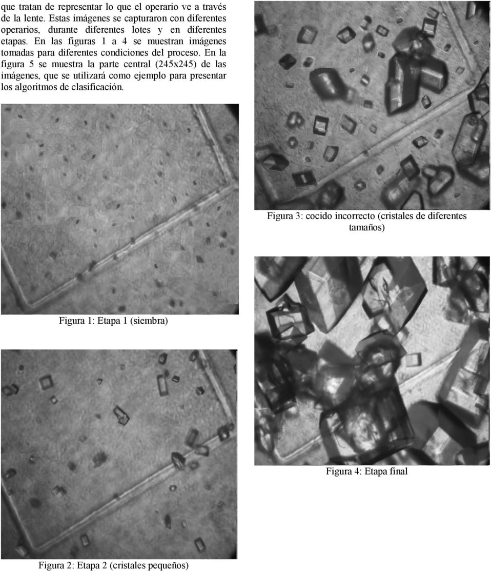 En las figuras 1 a 4 se muestran imágenes tomadas para diferentes condiciones del proceso.