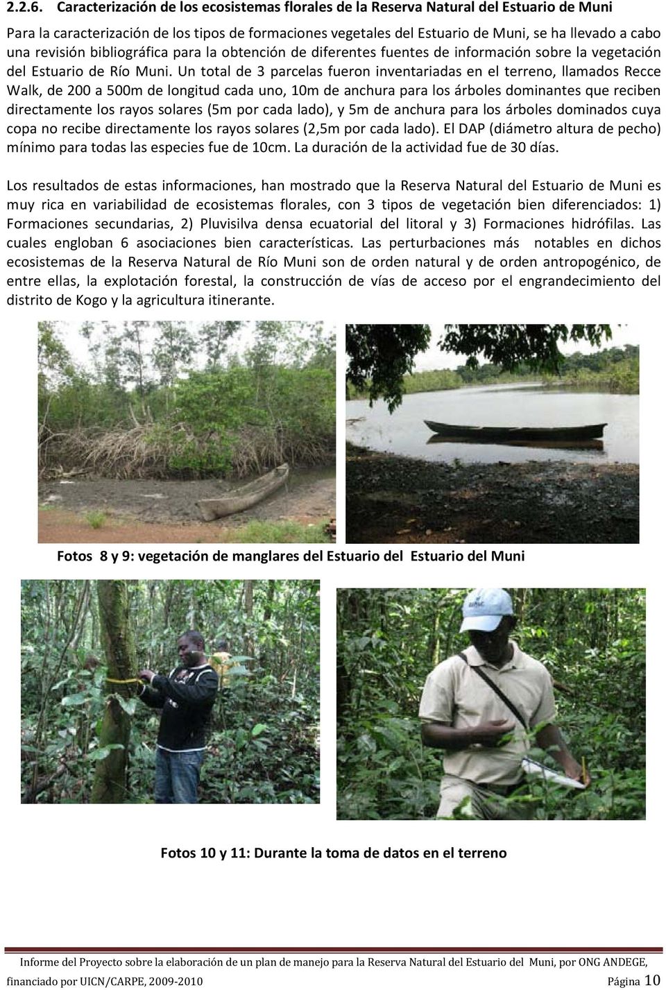 revisión bibliográfica para la obtención de diferentes fuentes de información sobre la vegetación del Estuario de Río Muni.
