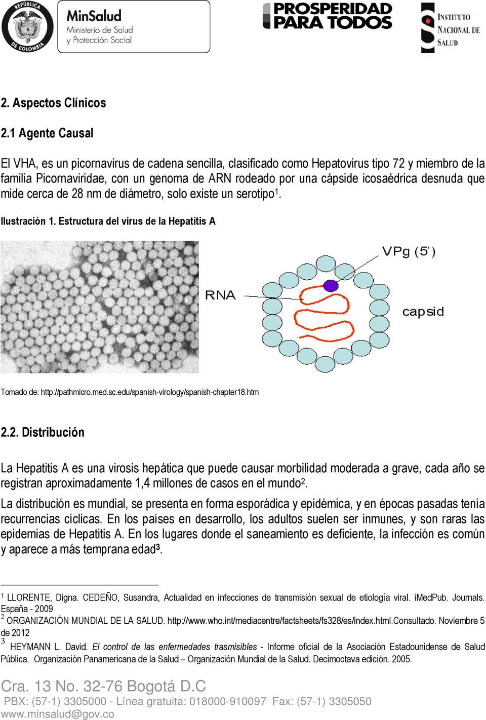 desnuda que mide cerca de 28 nm de diámetro, solo existe un serotipo 1. Ilustración 1. Estructura del virus de la Hepatitis A Tomado de: http://pathmicro.med.sc.edu/spanish-virology/spanish-chapter18.
