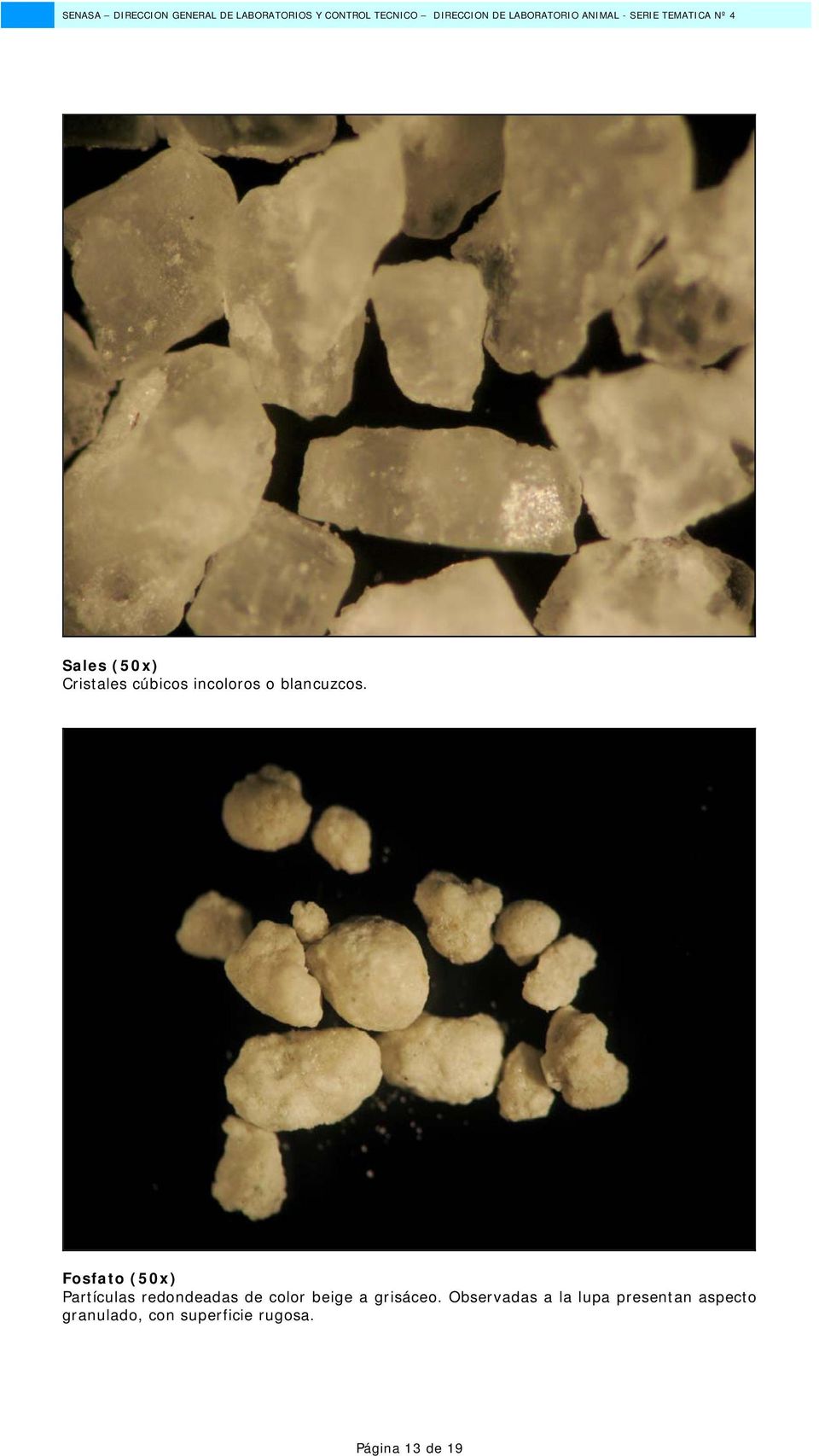 Fosfato (50x) Partículas redondeadas de color beige