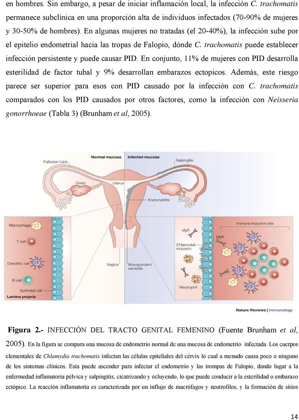 En conjunto, 11% de mujeres con PID desarrolla esterilidad de factor tubal y 9% desarrollan embarazos ectopicos.
