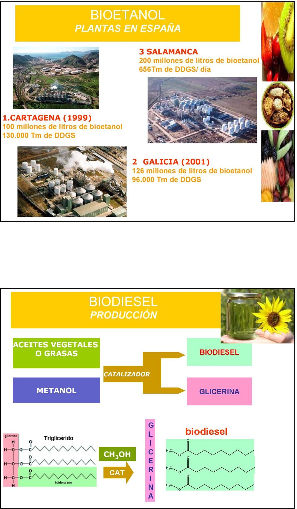 000 Tm de DDGS 2 GALICIA (2001) 126 millones de litros de bioetanol 96.