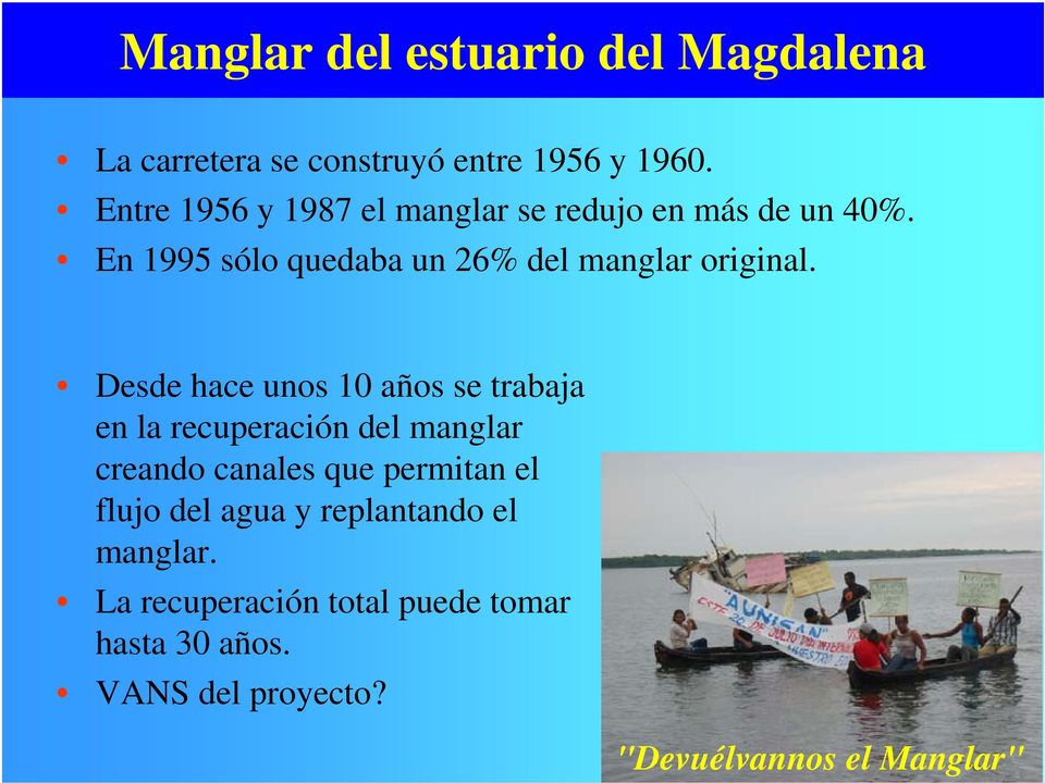 En 1995 sólo quedaba un 26% del manglar original.