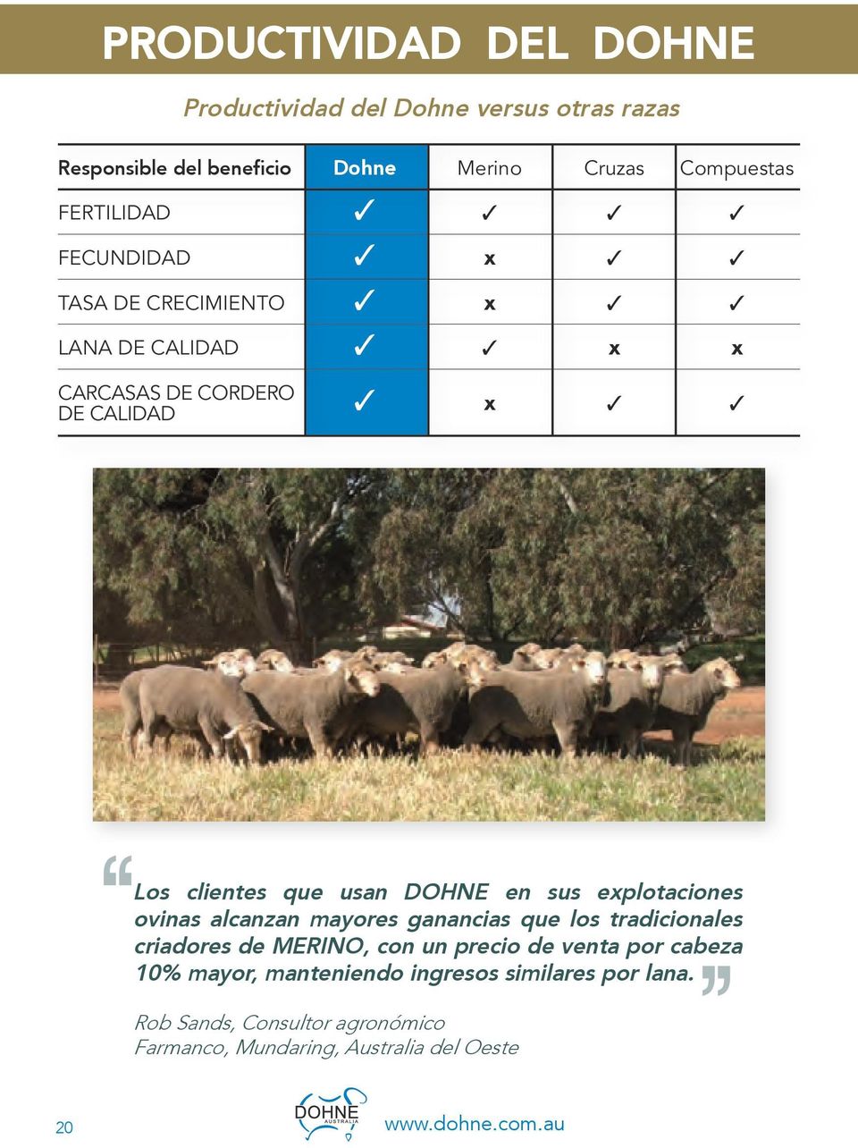 en sus explotaciones ovinas alcanzan mayores ganancias que los tradicionales criadores de MERINO, con un precio de venta por