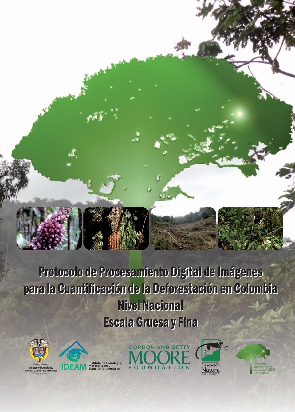 de la Deforestación en Colombia