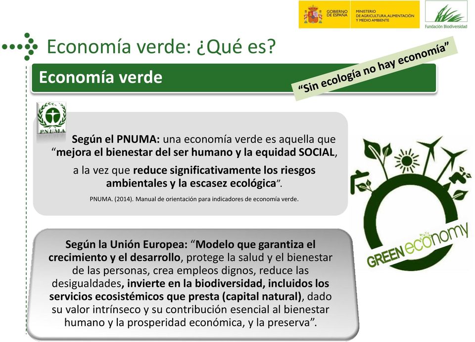 riesgos ambientales y la escasez ecológica. PNUMA. (2014). Manual de orientación para indicadores de economía verde.