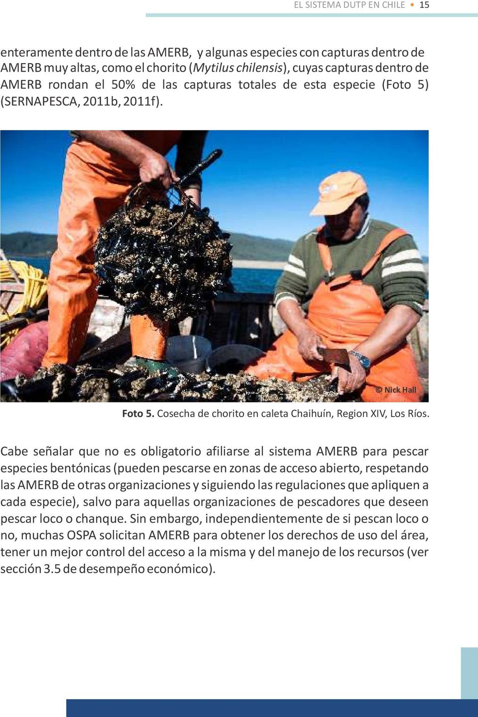 Cabe señalar que no es obligatorio afiliarse al sistema AMERB para pescar especies bentónicas (pueden pescarse en zonas de acceso abierto, respetando las AMERB de otras organizaciones y siguiendo las