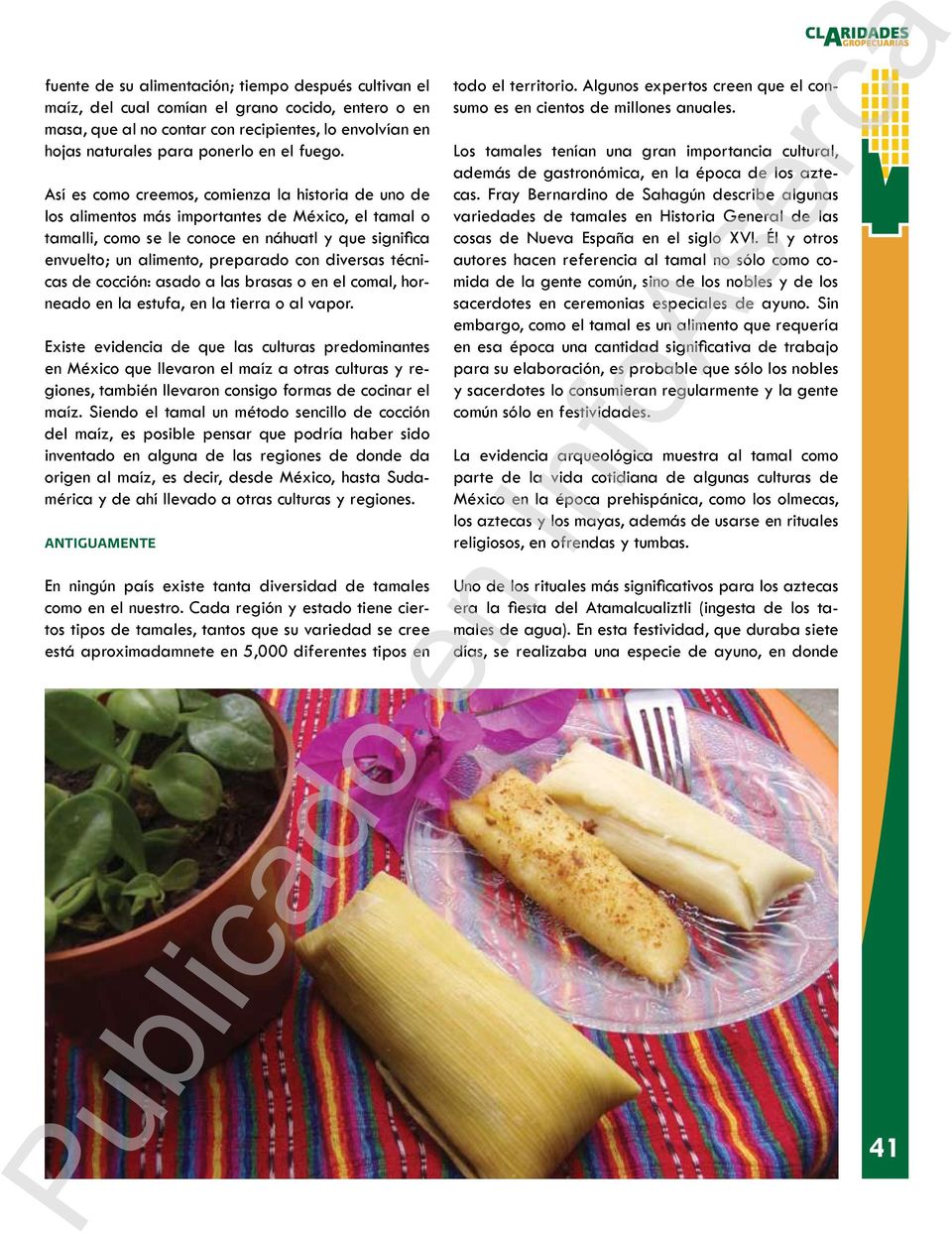 Así es como creemos, comienza la historia de uno de los alimentos más importantes de México, el tamal o tamalli, como se le conoce en náhuatl y que significa envuelto; un alimento, preparado con