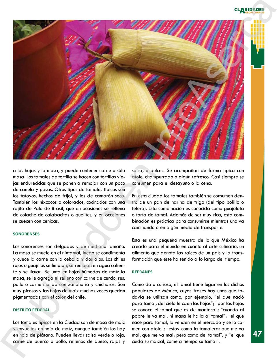 También los nixcocos o colorados, cocinados con una rajita de Palo de Brasil, que en ocasiones se rellena de colache de calabacitas o quelites, y en ocasiones se cuecen con cenizas.