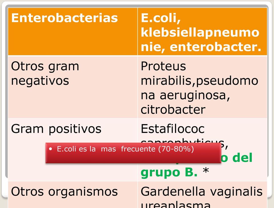 Proteus mirabilis,pseudomo na aeruginosa, citrobacter Gram positivos