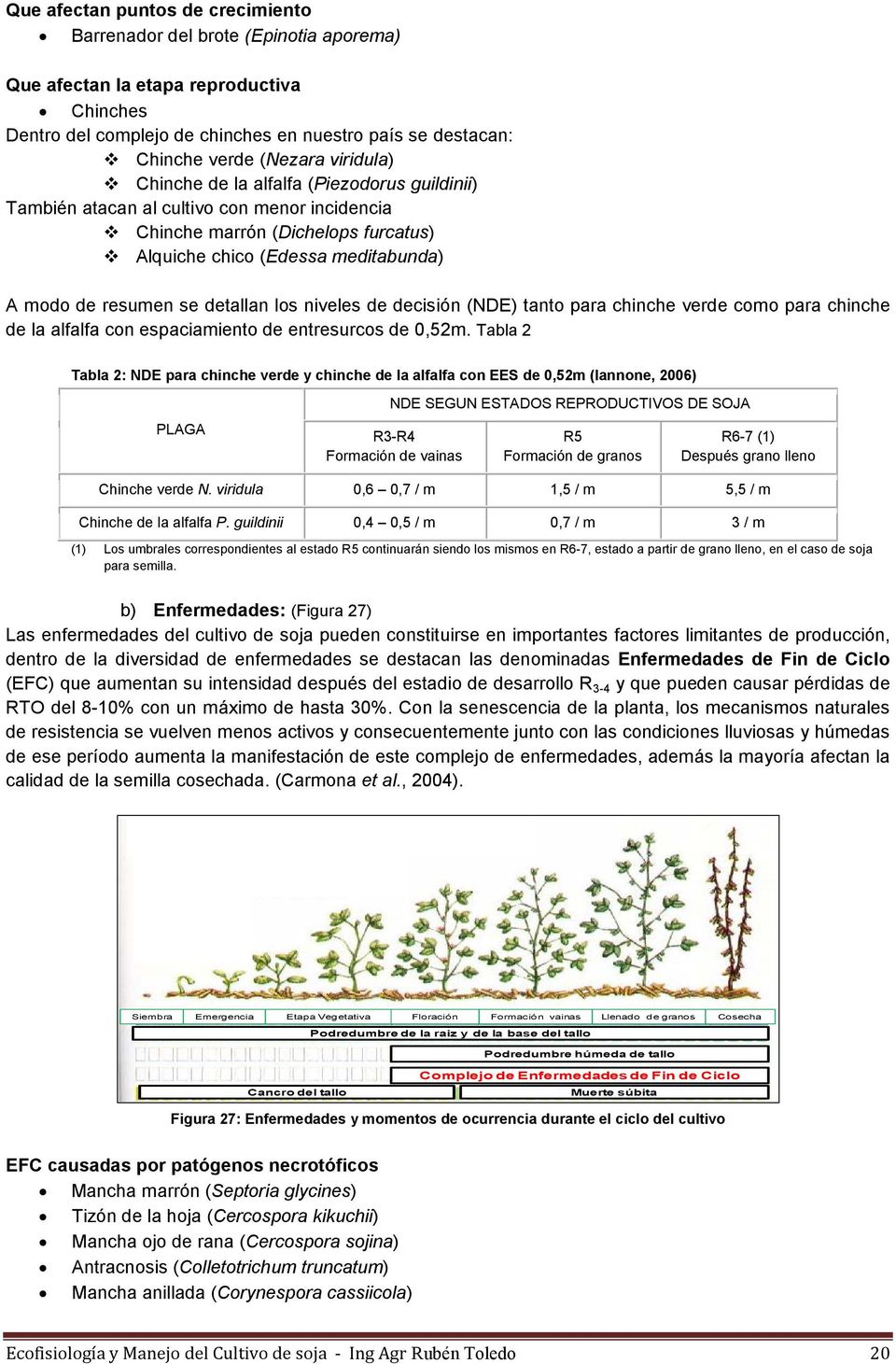 detallan los niveles de decisión (NDE) tanto para chinche verde como para chinche de la alfalfa con espaciamiento de entresurcos de 0,52m.