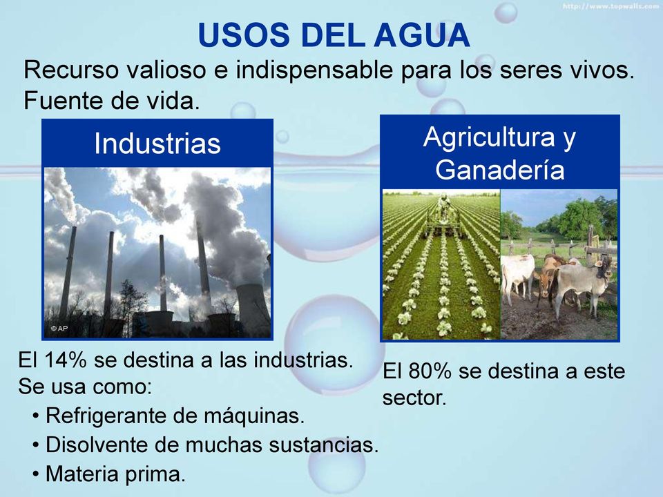 Agricultura y Ganadería El 14% se destina a las industrias.
